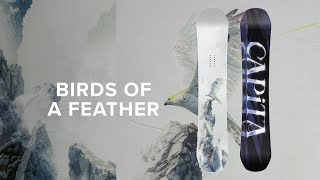 CAPiTA Snowboards | 2026 Birds of a Feather