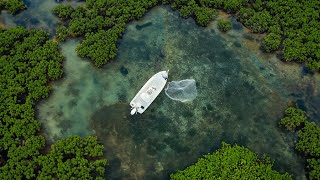 Exploring Honey Holes Every Fisherman Wants to Find.