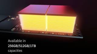 Elevate your game with Lexar Professional NM700 M.2 NVMe SSD |TECHx English