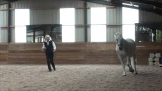 Jenny Rolfe demonstrates the use of 'breath energy' with her her stallion Delfin