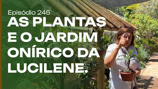 The plants of a rustic and dreamlike garden.