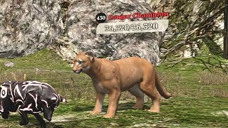 The Wolf - Cougar Champion In Featured Green Hills 🏆