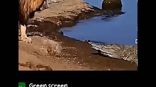 🔥Keep the fear alive in others,just like that🤫😎🔥