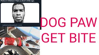 Iron Dog took out the Notorious Dog Paw || Christopher Linton Get Slap Weh.