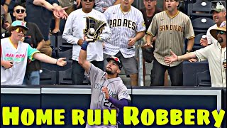 MLB Homeruns Robbery