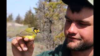 Long Point Bird Observatory Tip