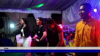 1 JAM BERSAMA AL MADANIE | FULL DANGDUT KOPLO LIVE MESUJI OKI