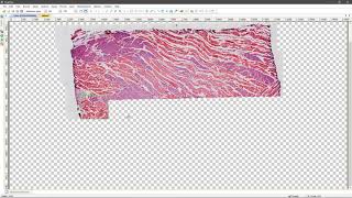 Bandicam 20180827
