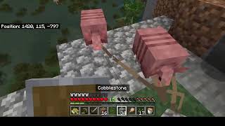 Dragon Sister Season 1 Episode 5  Meli POV the Armadillo have arrived
