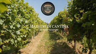 Maestri di Cantina - Winery Masters 1x05 | DERTHONA, THE OUTSIDER OF ITALIAN WHITES
