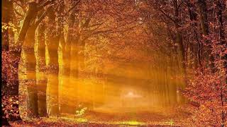 Quantum of Dreams (QoD Project) - Autumn Leaves