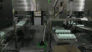 Eggs On The Move