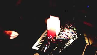 Anomie :: Vitalise@Shades