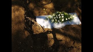 Wild 20’s ft. G-Roi & Trevy Is Famous