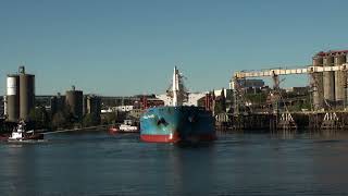 Shaver Transportation Tugs Vancouver & Washington Assist The Isabela Island Out Of Temco Portland