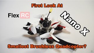 First Look at Nano X - Smallest 1S Brushless Quadcopter?