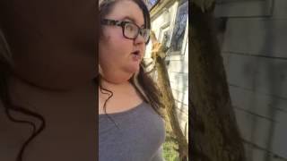 Tornado video Part 2