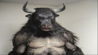 Mud Fossils - Minotaur Found!