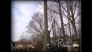 Kemblesville Pennsylvania Quality Tree Service