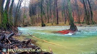 Relaxing Guitar Flute Music - Dreamy ambient music with Indian bamboo flute melody for relaxation