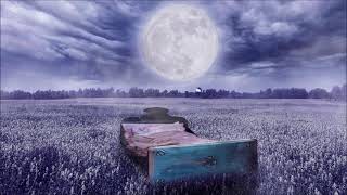 Sleeping Video Relaxing Music Butterfly Dancing