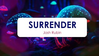 Josh Rubin - Surrender || Cause I just really need someone || Status || 2023