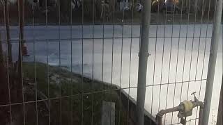 Family Entertainment Live Stream