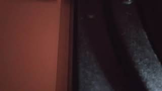 AGCG voodoo ray in reverse 