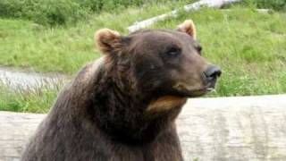 AlaskaCruiseExperts.com: Alaska Cruise and Cruisetour Differences