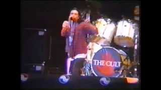The Cult - Live @ Pinkpop (1992)
