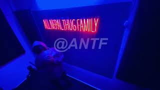 ANTF Season 2 - Beat - 12