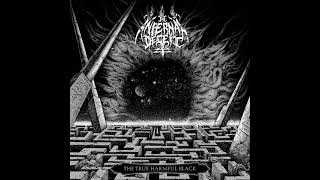 The Infernal Deceit - The Primordial Maze And The Crawling Chaos