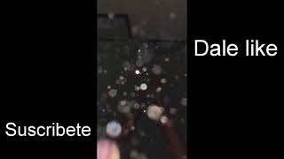 Recopilacion TikTok 2019