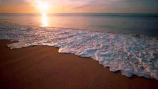Walk With Me - Paul Larson