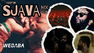 Best Of Sjava Mix 2025 | Dj Webaba