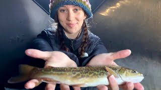 Ice Fishing a Small Alberta Lake | Nonstop Trout Action in the Ice Tent