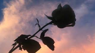 If I could ( prod. Lee )