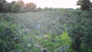 Sobieski's River Valley Farm
