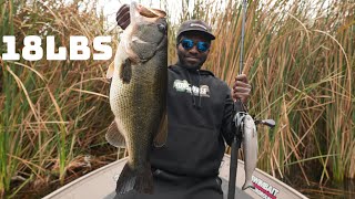 I've Never Caught Giant Bass Like This Before In My Entire Life!