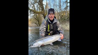 Steelhead Wild March Madness