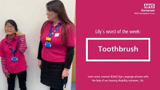 Lily's Word of the Week: Hairbrush, toothbrush and shower