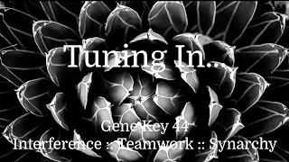 Tuning In...the pulse of Gene Key 44 - Interference to Teamwork to Synarchy