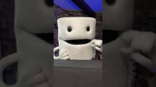 Toiley is live on a Monday!