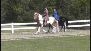 prayin for luck 2009