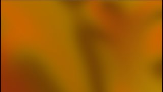 Fall Mood Lights 🍁🍂 with LOFI Music ~ 1 HOUR ~ Relax