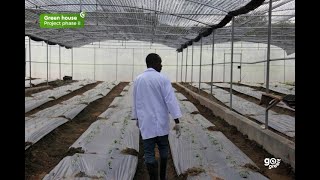 Suntwist Greenhouse Project