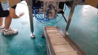 Wilpac Grain brick weighing and packing machine