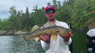 How To Hold A Walleye