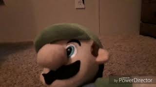 Luigi's mansion|The crazy mario adventures