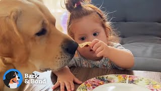 The Dog Who Became The Sweetest Baby's Shadow | Bark & Bond